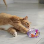 BakGelAl Kedi Oyuncağı Spiral Tel Top & İçinde Peluş Fare – Hareketli Zıplayan Kedi Topu, Avcılık İçgüdüsünü Geliştirir, Dayanıklı Metal Yay Top, Kediler İçin Etkileşimli Eğlence Oyuncağı