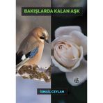 Bakışlarda Kalan Aşk - İsmail Ceylan