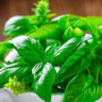 Baktar Dik Gelişen Limon Fesleğen Tohum 100 Tohum