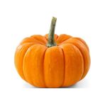 Bal Kabağı Tohumu 10 Adet Kabak Tohumu + Tohumu