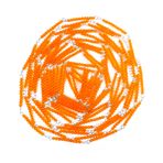 Balatoyz Montessori Binlik Zincir