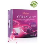 Balen Collagen Complex++ Tip 1, 2, 3 Kollajen, L-Ornitin, Hyal. Asit, Vitamin C Şase Kakaolu