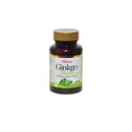 Balen Ginkgo Biloba 60 Tablet
