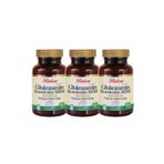 Balen Glukozamin Kondroitin MSM Boswellia 1200 mg 3x60 Tablet