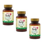 Balen Kelp Ekstraktı Selenyum 3x60 Kapsül