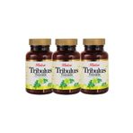 Balen Tribulus Terrestris 620 mg 3x60 Kapsül