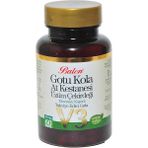 Balen V3 Gotu Kola At Kestanesi Üzüm Çekirdeği Ekstresi 60 Bitkisel Kapsül - Zengin İçerik - 1 Adet