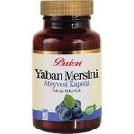 Balen Yaban Mersini 90 Kapsül