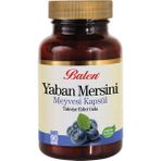 Balen Yaban Mersini Meyvesi Kapsül 11 - --
