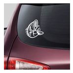 Balık Araba Sticker Yapıştırma