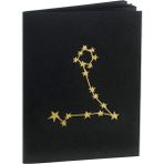Balık Burcu Yıldız Haritası Siyah Defter