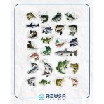 Balık Ve Balıkçılık Sticker Set 3