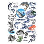 Balıkçılık Ve Balık Sticker Set 1