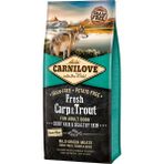 Balıklı Tahılsız Yetişkin Köpek Kuru Maması (Parlak Tüyler & Sağlıklı Cilt ) 12 kg