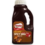 Ballı & Baharatlı Barbekü Sos 2450G - 1 kg