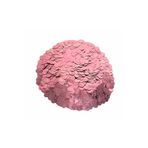 Balon Pulu Pembe Renk 10 Gr blnpl1001