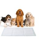 Bambam 30'lu Pet Köpek Çiş Pedi