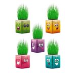 BamBamToys 34 Adet Karışık 3 Tarafı Emojili Küp Çim Adamlar Okul Ve Okul Öncesi Hediyelik Çim Adam