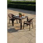 Bamboo 2 Kişilik Rattan Masa Sandalye Takımı Kahve - Kahverengi
