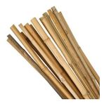 Bambu 120 cm 10 Adet Bitki Destek Sopası