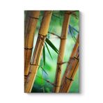 Bambu Ağaçları Tablosu 70 x 100