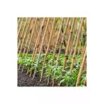 Bambu Bitki Destek Çubuğu 100 Cm 10'Lu | Saksı, Bahçe, Sarmaşık Ve Çiçekler İçin Doğal Destek