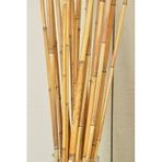 Bambu Bitki Destek Çubuğu 100Cm 1 Adet