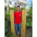 Bambu Fidan Bitki Destek Çubuğu 10 Adet 2 Metre Boy