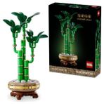 Bambu Sapları ve Ahşap Saksı Içeren Dekoratif Bitki Seti, Yetişkinler Için