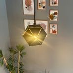 Bamyum Lotus Siyah Tekli Avize Sarkıt Lamba Salon Yatak Odası Antre Avizesi