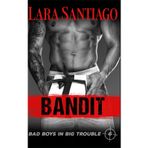 Bandit (Bad Boys in Big Trouble, Band 6)