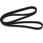 Bando 7PK1165 Nıssan Mıcra 1.2 2010 HR12DE-HR12DR Kanallı Kayış