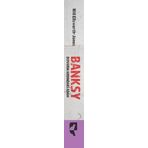 Banksy Duvarın Ardındaki Adam - Will Ellsworth-Jones