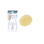 Banyo Seti (banyo Derecesi+banyo Süngeri)