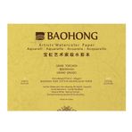 Baohong: Profesyonel: Saf Pamuk Suluboya Kağıdı Blok: 300gsm: 20 Yaprak: Â 23x31cm: Kaba