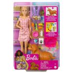 Barbie ve yeni doğan köpekler - Standart Standart