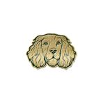 Barbour Spaniel Dog Ceket Rozeti GN11 Green