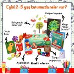 Bardabas Çocuk Gelişimi Aktivite Kutusu - Okul - 2-3 Yaş Için - Çok Renkli