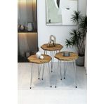 BARIN DESIGN 3'lü Sekizgen Zigon Sehpa Seti - Gümüş Metal Ayaklı, Modern & Şık Yan Sehpa, Dayanıklı Salon Ofis