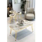 BARIN DESIGN 3'Lü Sekizgen Zigon Sehpa ve Dikdörtgen Orta Sehpa Takımı Modern Gold Metal Ayaklı Salon Sehpa Seti