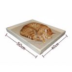 Barış Dizayn Doğal Ahşap Ortopedik Wellsoft Peluş Kedi Yatağı Yer Yatağı 40x50cm (2 renk)
