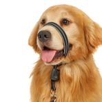 BARKLESS Köpek Baş Yaka, Yumuşak Dolgulu Küçük Orta Büyük Köpekler için Yansıtıcı Baş Boyundan Bağlamalı, Eğitim Tasmalı Çekme Köpek Ağız Koşumu, Nazik Yürüyüş için Ayarlanabilir Namlu Tasması (Siyah,