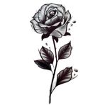 Barly Geçici Gül Figürlü Dövme Tattoo
