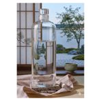 BAROTTİ Mercan Borosilikat Cam 1000 ml Su Şişesi ve Matara