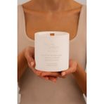 Basement : Aventus : % 100 Soya Beton Mum (Bergamot & Pembe Biber · Elma & Paçuli · Yasemin & Musk) - 1 Adet