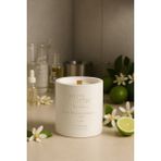 Basement : Bamboo : Dekoratif % 100 Soya Beton Mum (Limon Çiçeği, Şampanya Esansı, Sedir, Lime) - 1 Adet