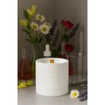 Basement : Ginger Blossom : % 100 Soya Beton Mum (Zencefil Çiçeği, Papatya, Lavanta, Gül) - 1 Adet