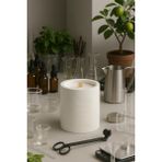 Basement : Lime Basil : % 100 Soya Beton Mum (Reyhan, Limon, Kekik) - 1 Adet
