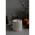 Basement : Yellow Peach : % 100 Soya Beton Mum (Şeftali, Bal Özü, Kiraz Çiçeği) - 1 Adet