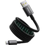 Baseus Tungsten Gold Şarj Kablosu 100W 1m USB Type-C - Siyah